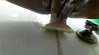 Pajeandome con mi consolador  en coryza ducha